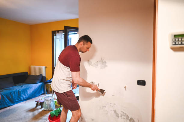 Best Home Mold Removal  in Wellford, SC